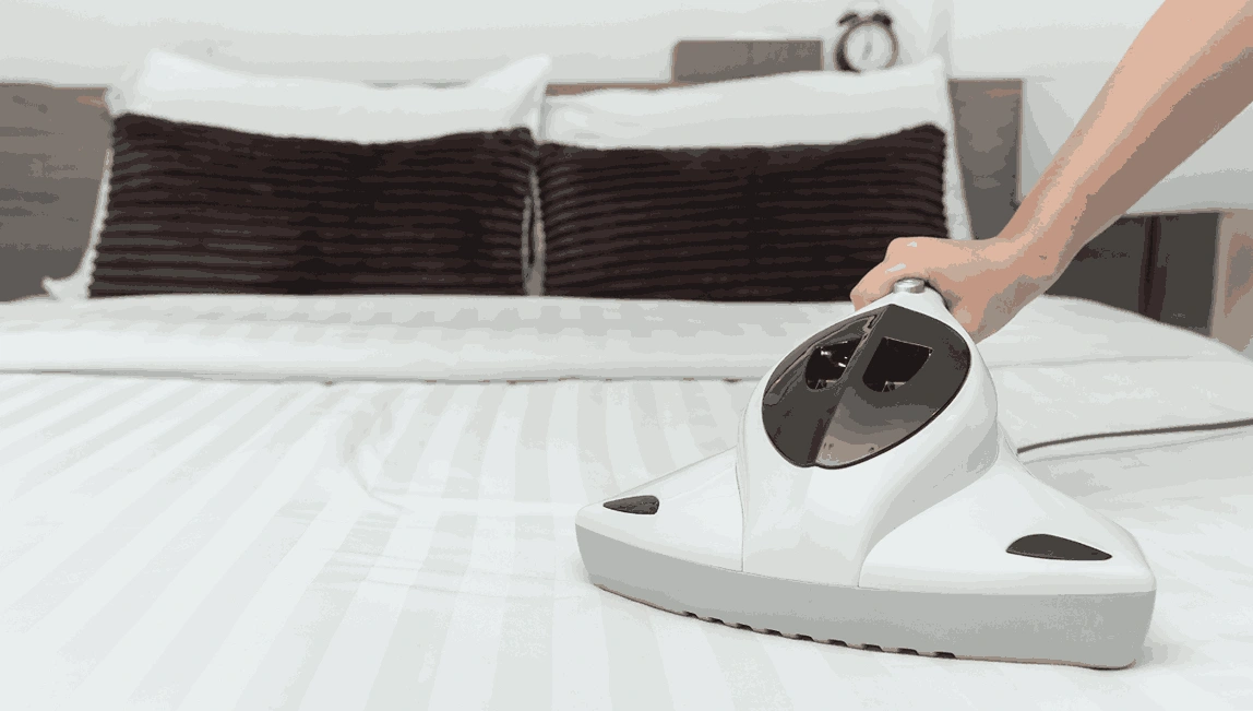 Professional Mattress Cleaning Menzies Creek